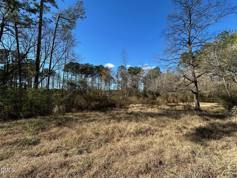 523 New Elam Church Road Moncure, NC 27559