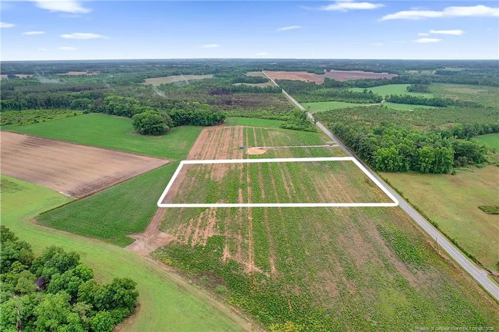 Lot 5 Buie Philadelphus Road Red Springs, NC 28377