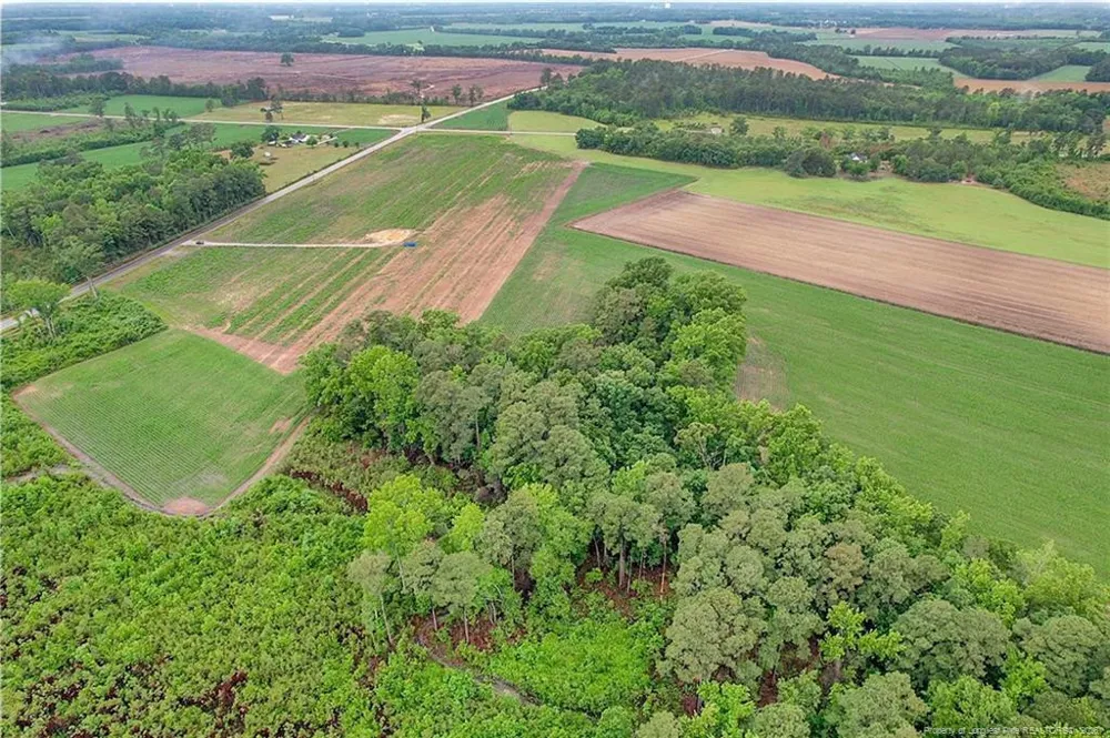 Lot 4 Buie Philadelphus Road Red Springs, NC 28377