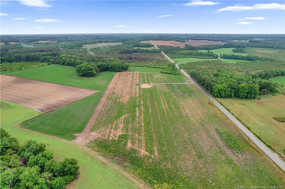 Lot 4 Buie Philadelphus Road Red Springs, NC 28377