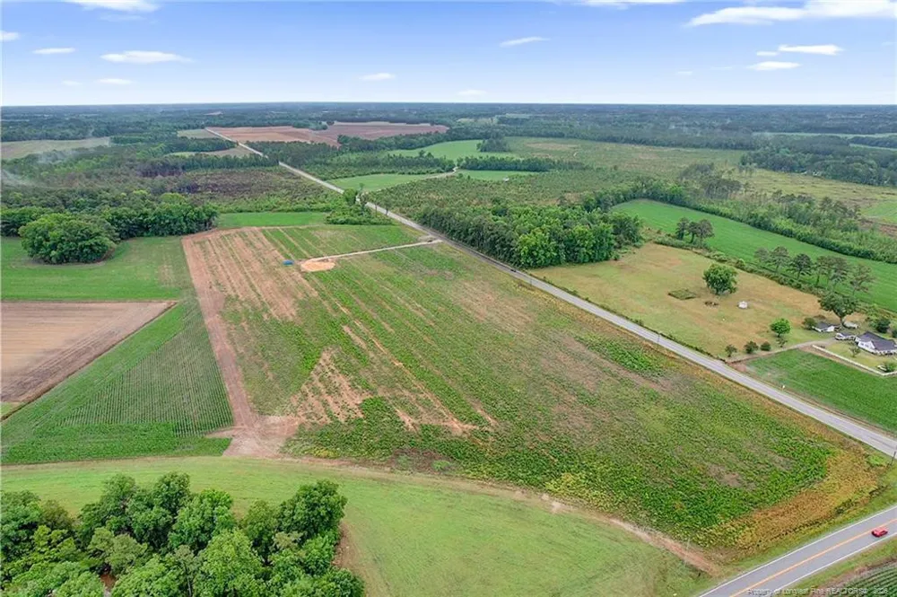 Lot 4 Buie Philadelphus Road Red Springs, NC 28377