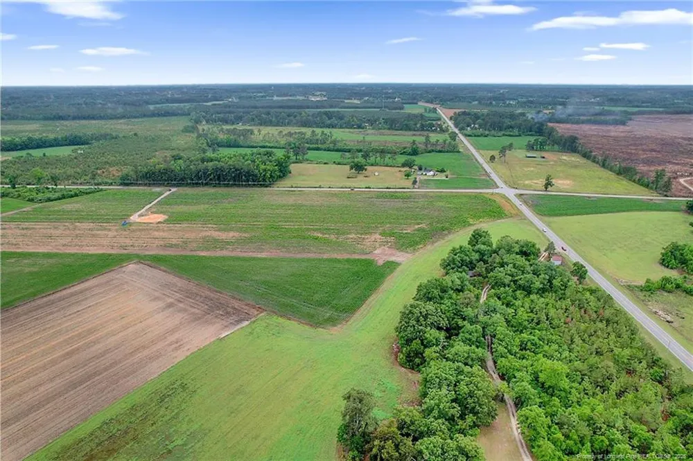 Lot 4 Buie Philadelphus Road Red Springs, NC 28377