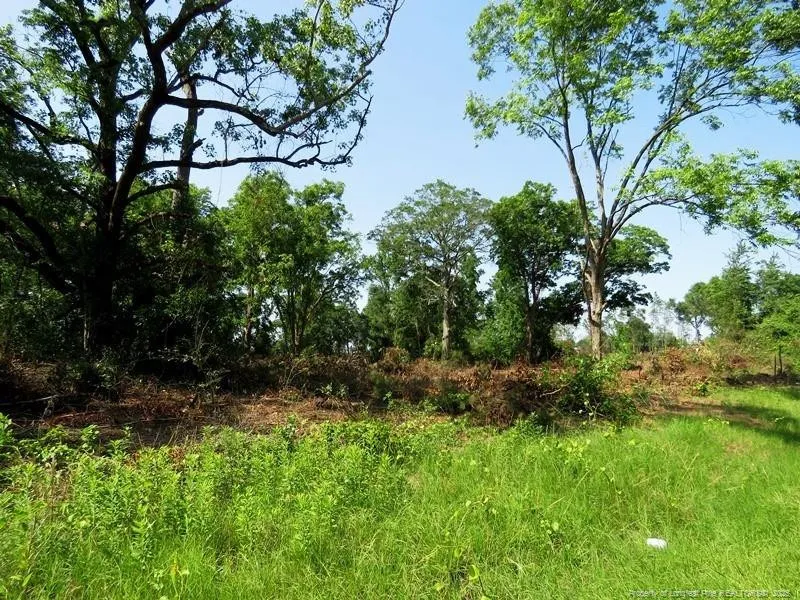 TBD NC Hwy 71 Highway Red Springs, NC 28377
