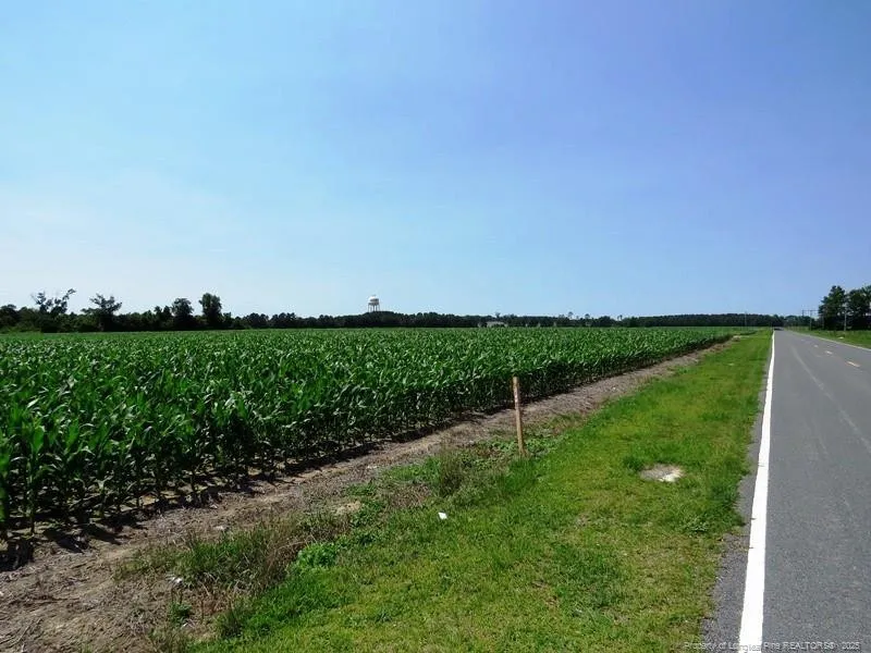 TBD NC Hwy 71 Highway Red Springs, NC 28377