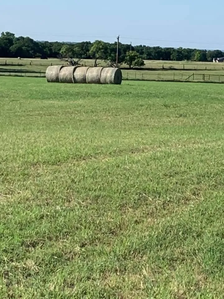 904 County Road 3341 Paradise, TX 76073