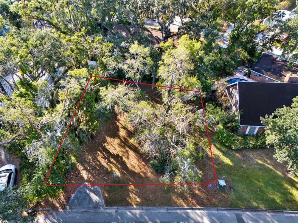 1113 RIVERHILLS DRIVE Temple Terrace, FL 33617