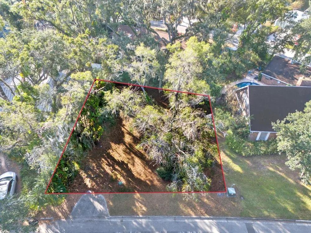 1113 RIVERHILLS DRIVE Temple Terrace, FL 33617