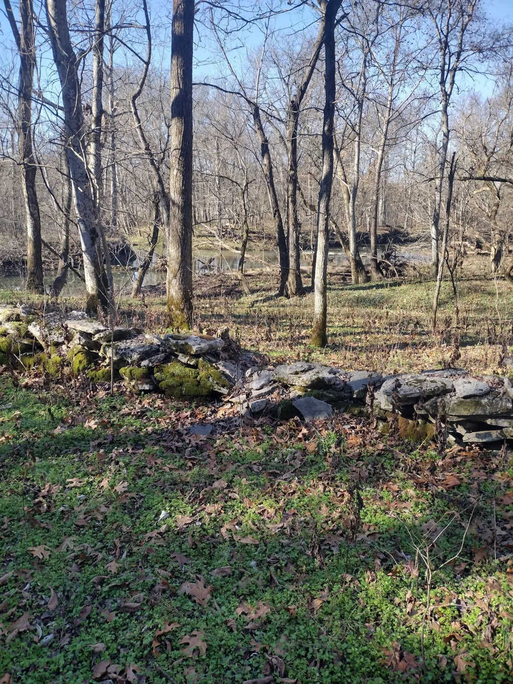 980 Baldy Ford Rd Lascassas, TN 37085
