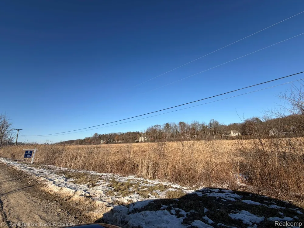Ben Hur Drive Brighton City, MI 48114