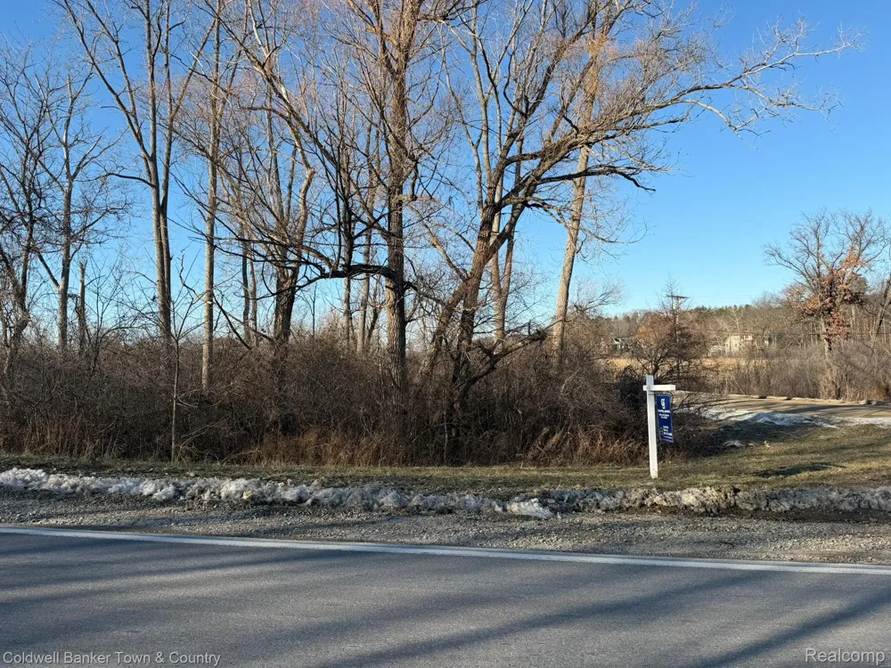 Ben Hur Drive Brighton City, MI 48114