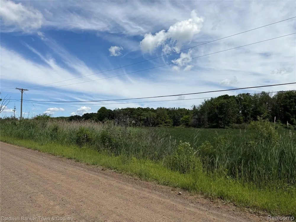 Ben Hur Drive Brighton City, MI 48114