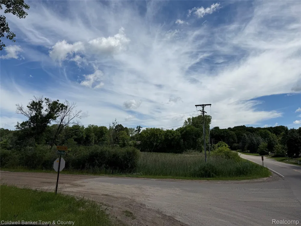 Ben Hur Drive Brighton City, MI 48114
