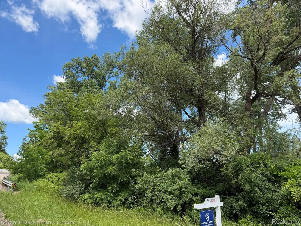 Ben Hur Drive Brighton City, MI 48114