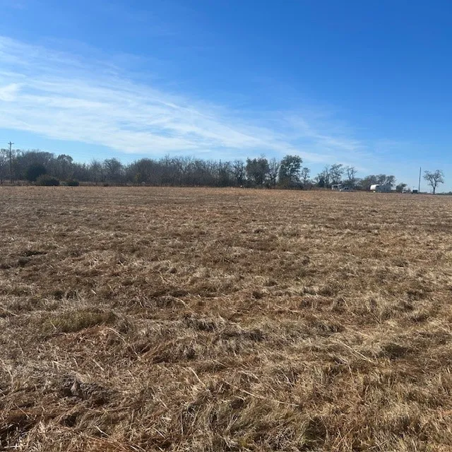 VZ County Rd 4406 Ben Wheeler, TX 75754