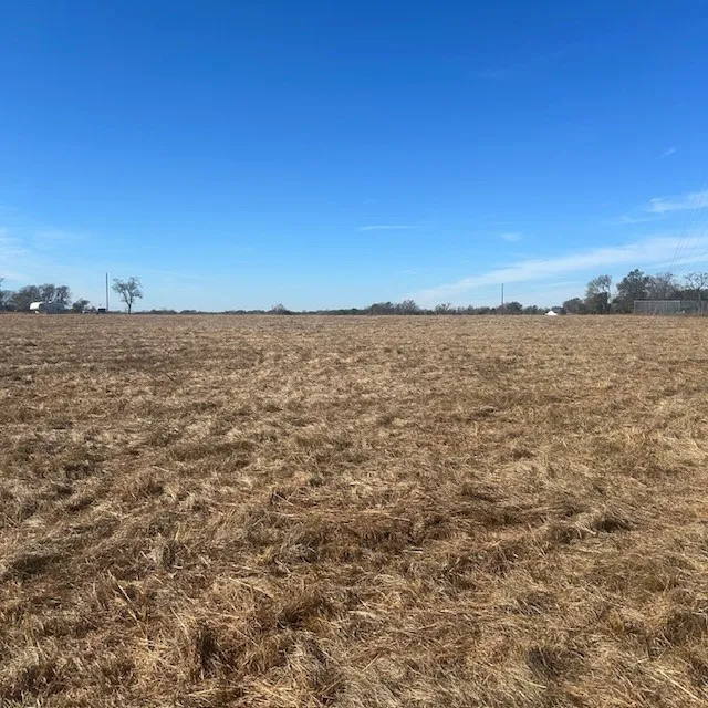 VZ County Rd 4406 Ben Wheeler, TX 75754