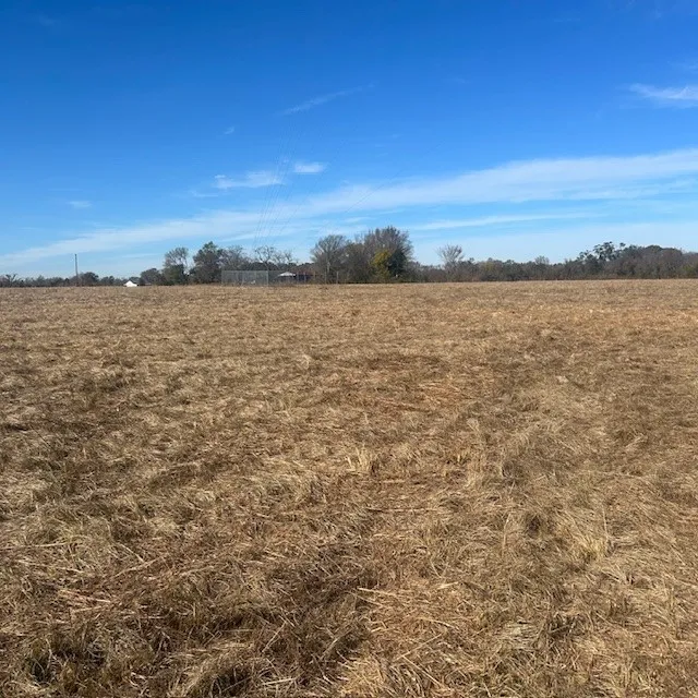 VZ County Rd 4406 Ben Wheeler, TX 75754