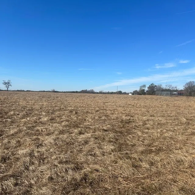 VZ County Rd 4406 Ben Wheeler, TX 75754