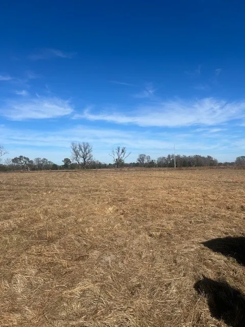 VZ County Rd 4406 Ben Wheeler, TX 75754