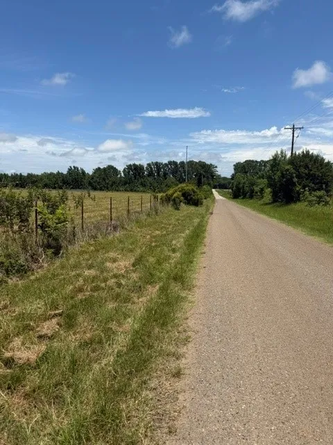 VZ County Rd 4406 Ben Wheeler, TX 75754