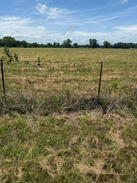 VZ County Rd 4406 Ben Wheeler, TX 75754