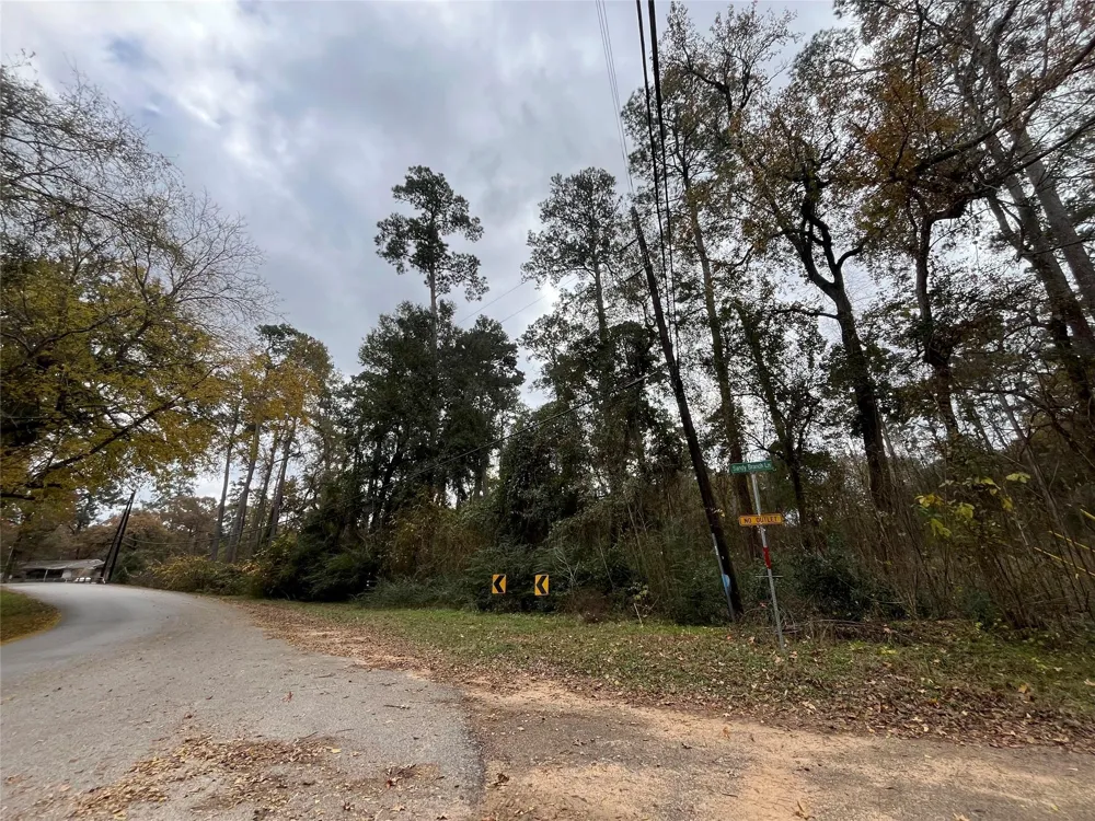 Cripple Creek Dr Pinehurst, TX 77362