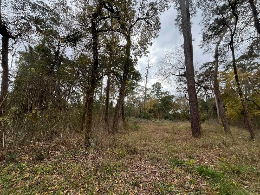 Cripple Creek Dr Pinehurst, TX 77362