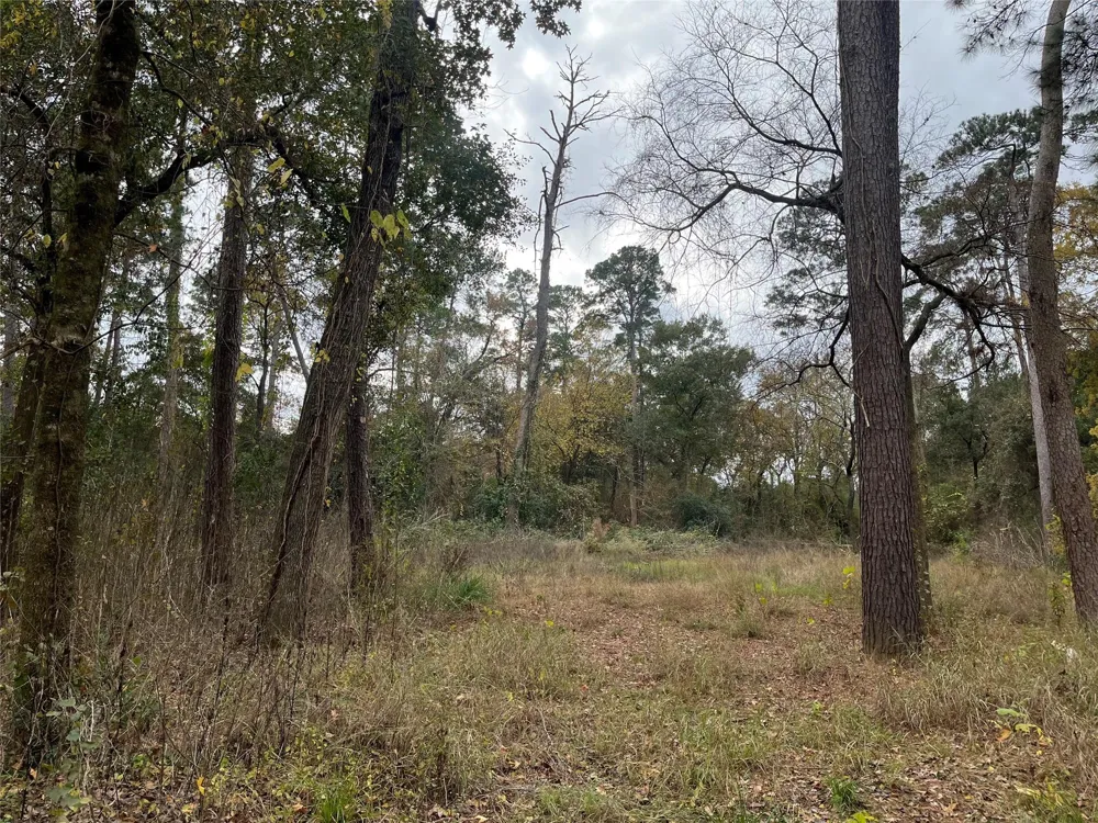 Cripple Creek Dr Pinehurst, TX 77362