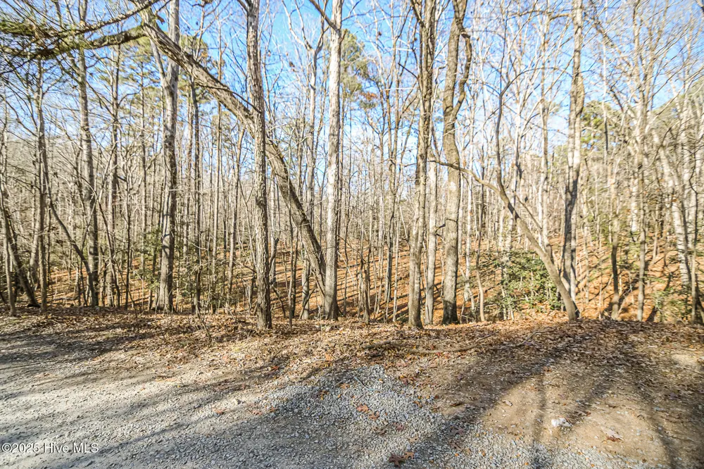 23 Equestrian Lane Carthage, NC 28327