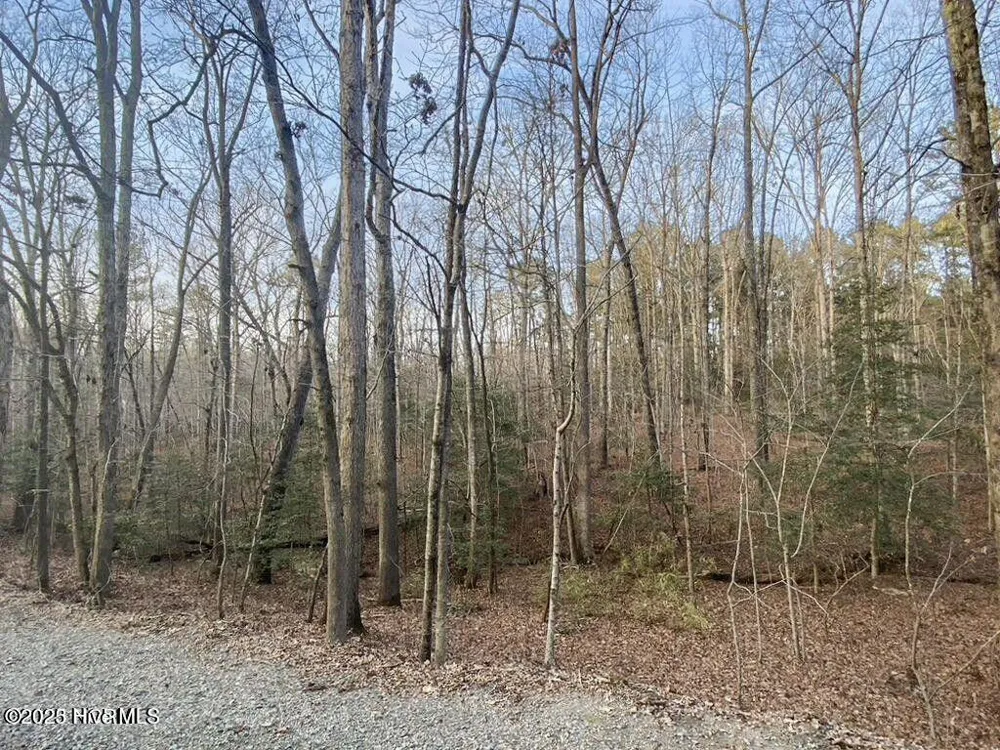 23 Equestrian Lane Carthage, NC 28327
