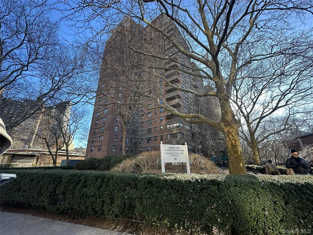 385 Grand Street #L904 New York (Manhattan), NY 10002