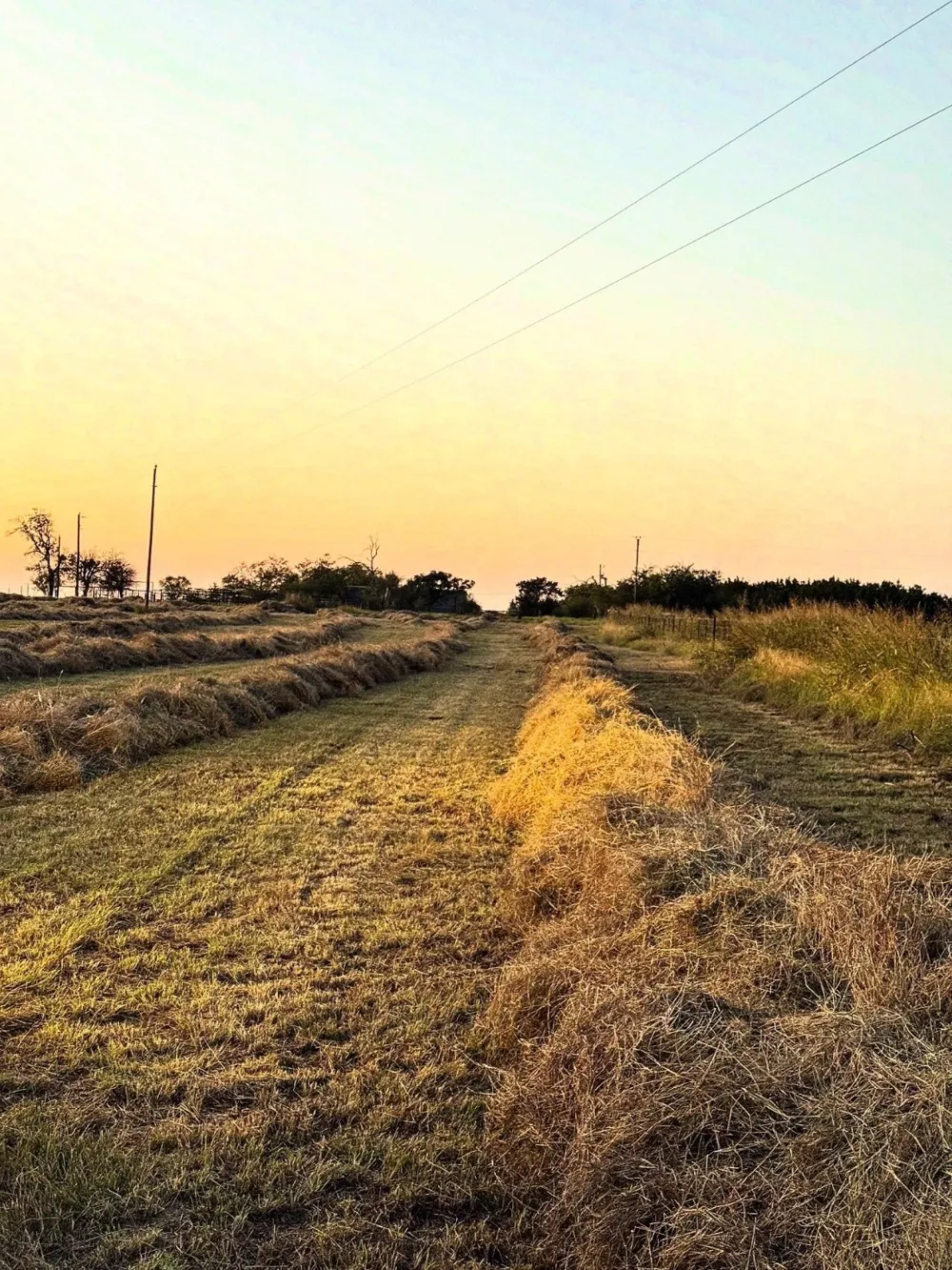 2 Miller Rd Valley Mills, TX 76689