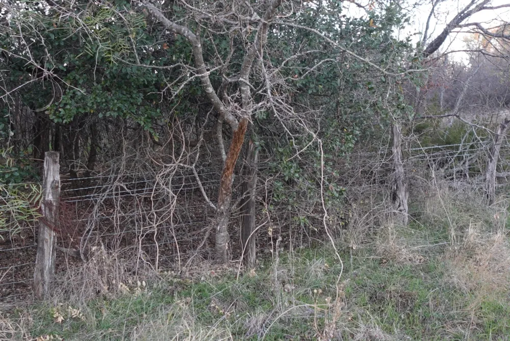 601 County Road 359 Dublin, TX 76446