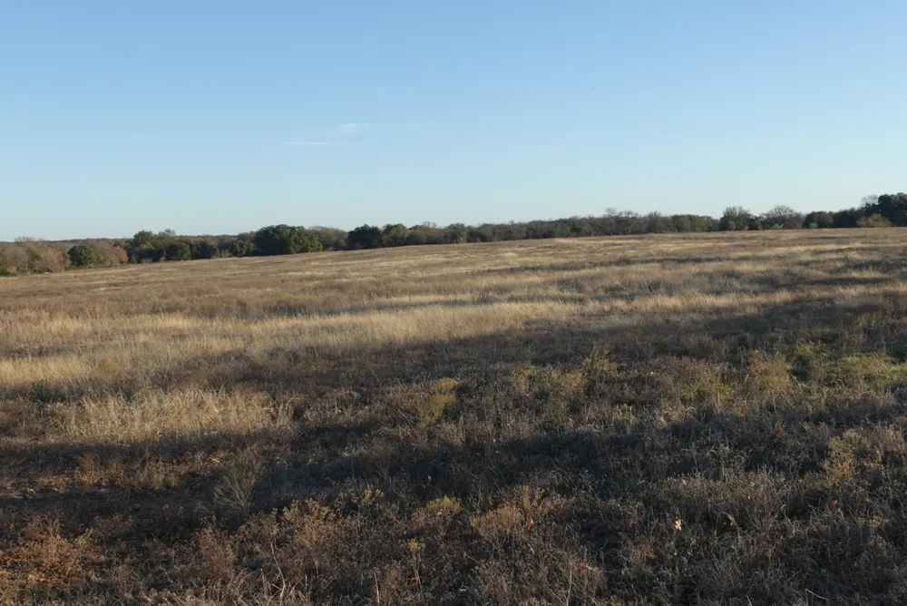601 County Road 359 Dublin, TX 76446