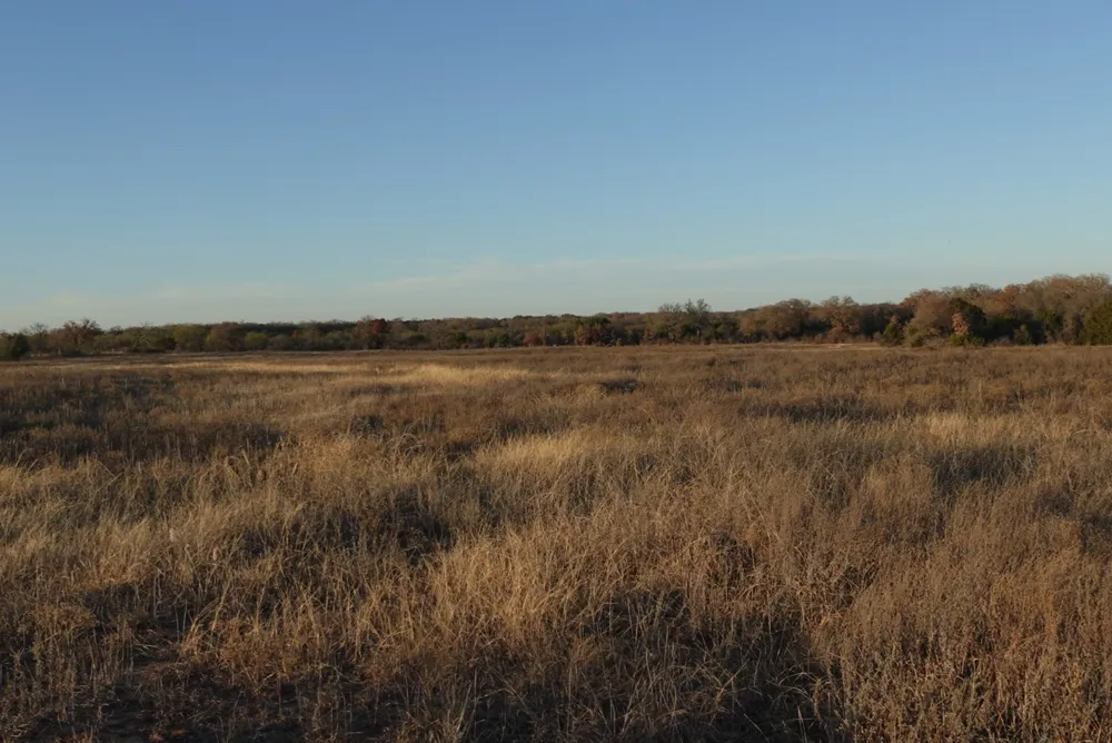601 County Road 359 Dublin, TX 76446