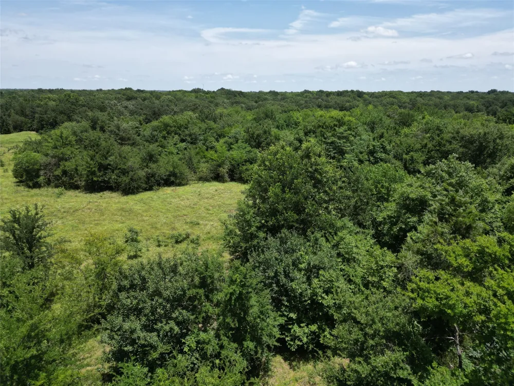 County Road 4766 Sulphur Springs, TX 75482