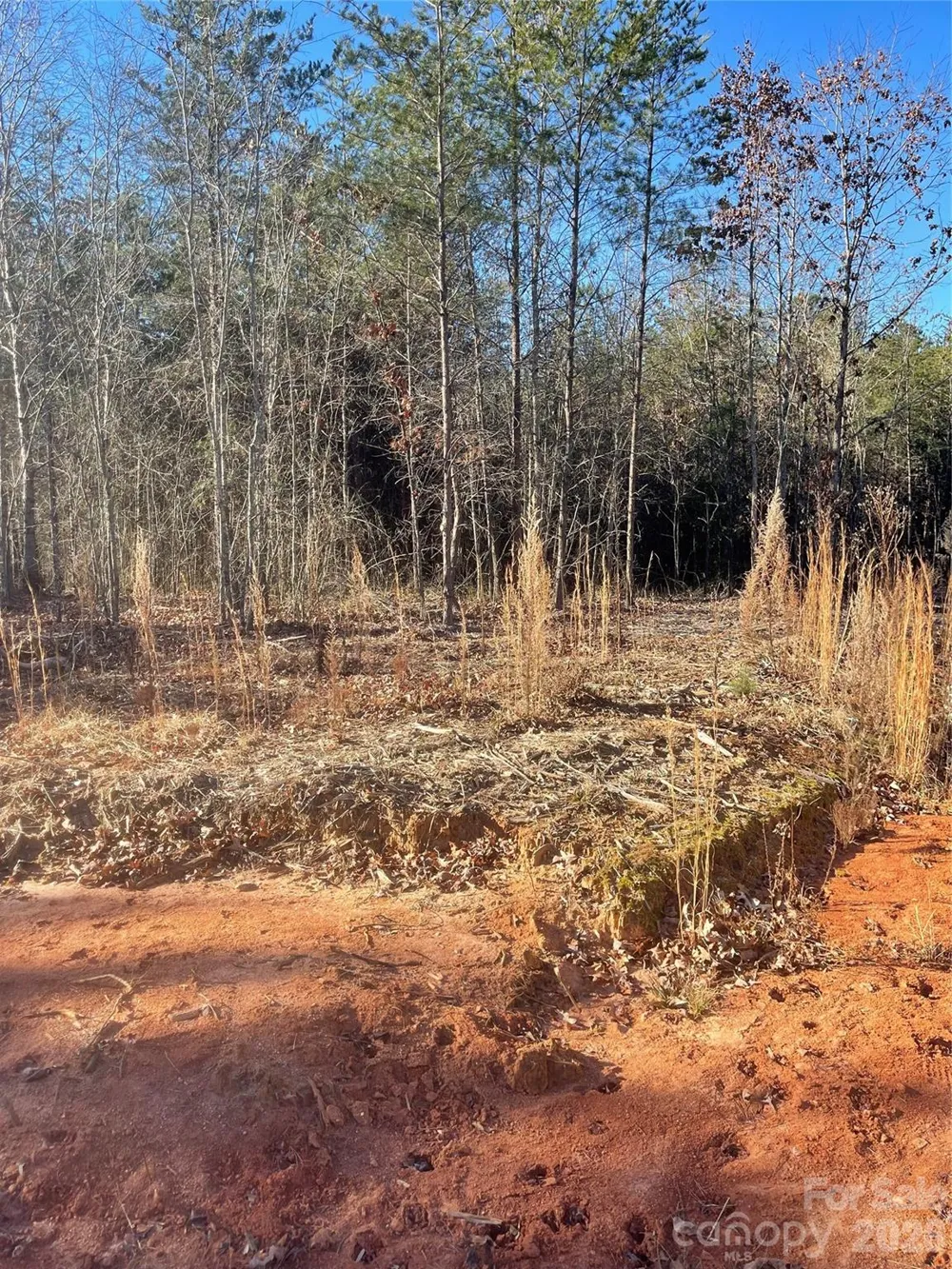 0 Springbrook Lane Mooresboro, NC 28114