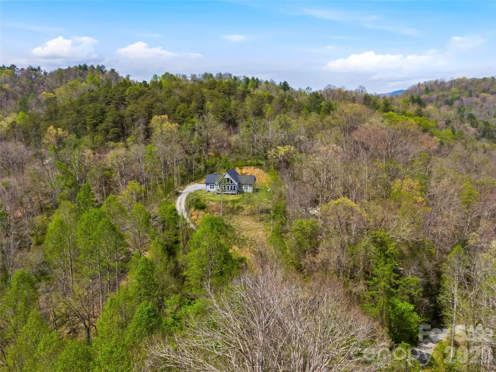 170 Starry Night Lane Marshall, NC 28753
