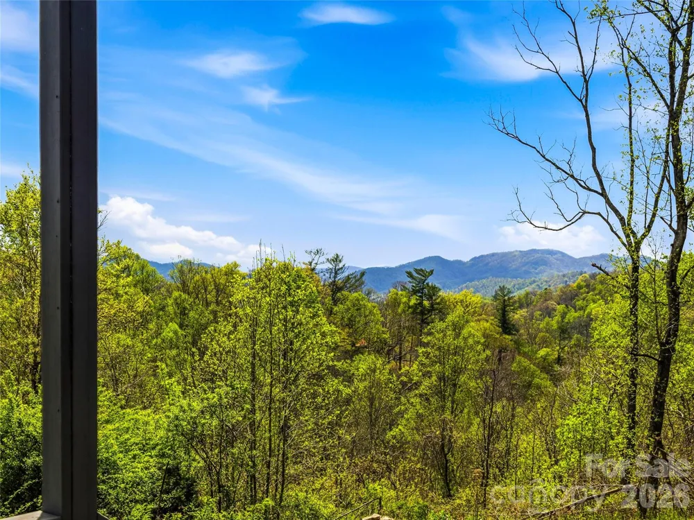 170 Starry Night Lane Marshall, NC 28753