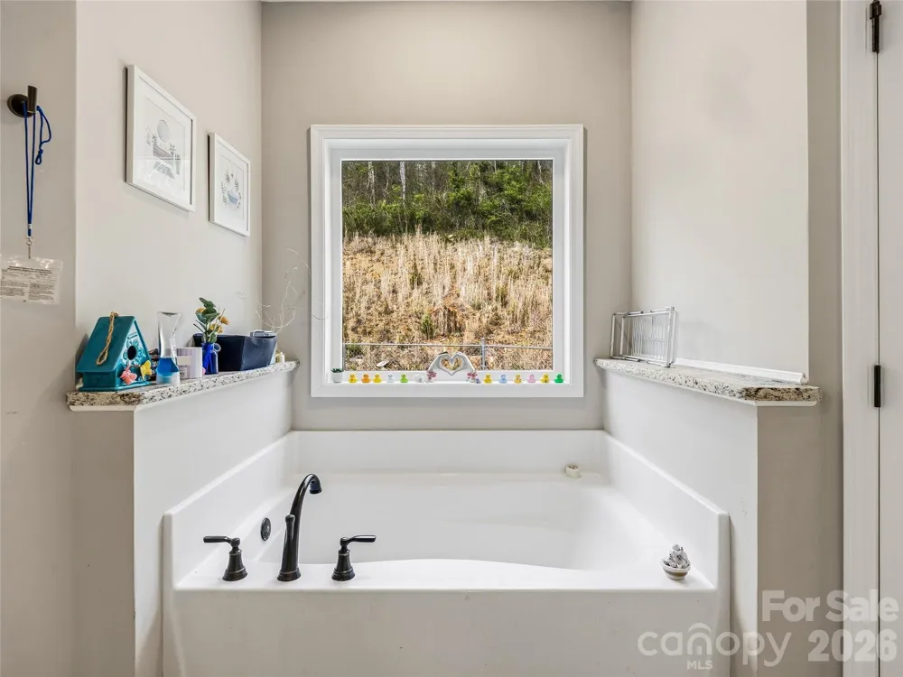 170 Starry Night Lane Marshall, NC 28753