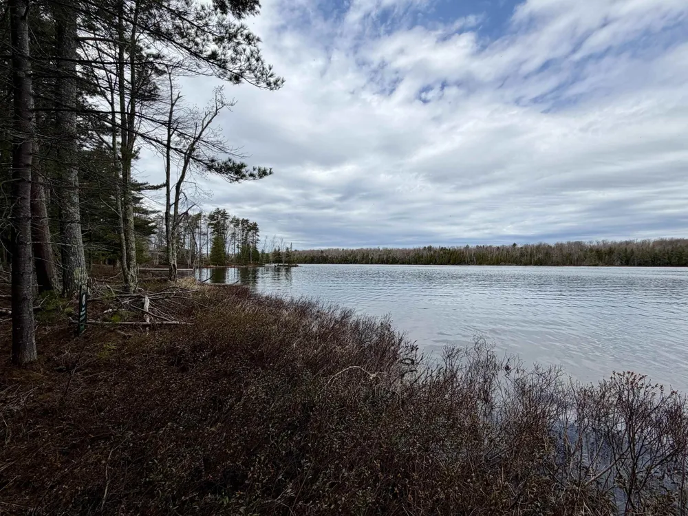 Whitetail Trail Peaine Township, MI 49782