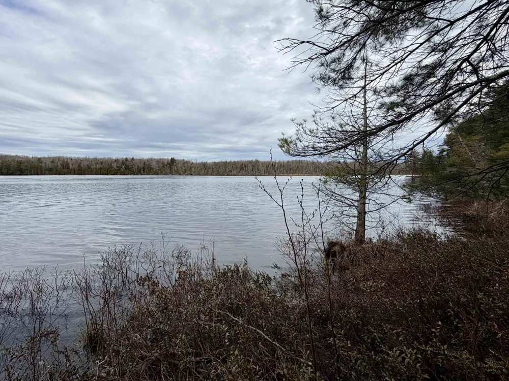 Whitetail Trail Peaine Township, MI 49782