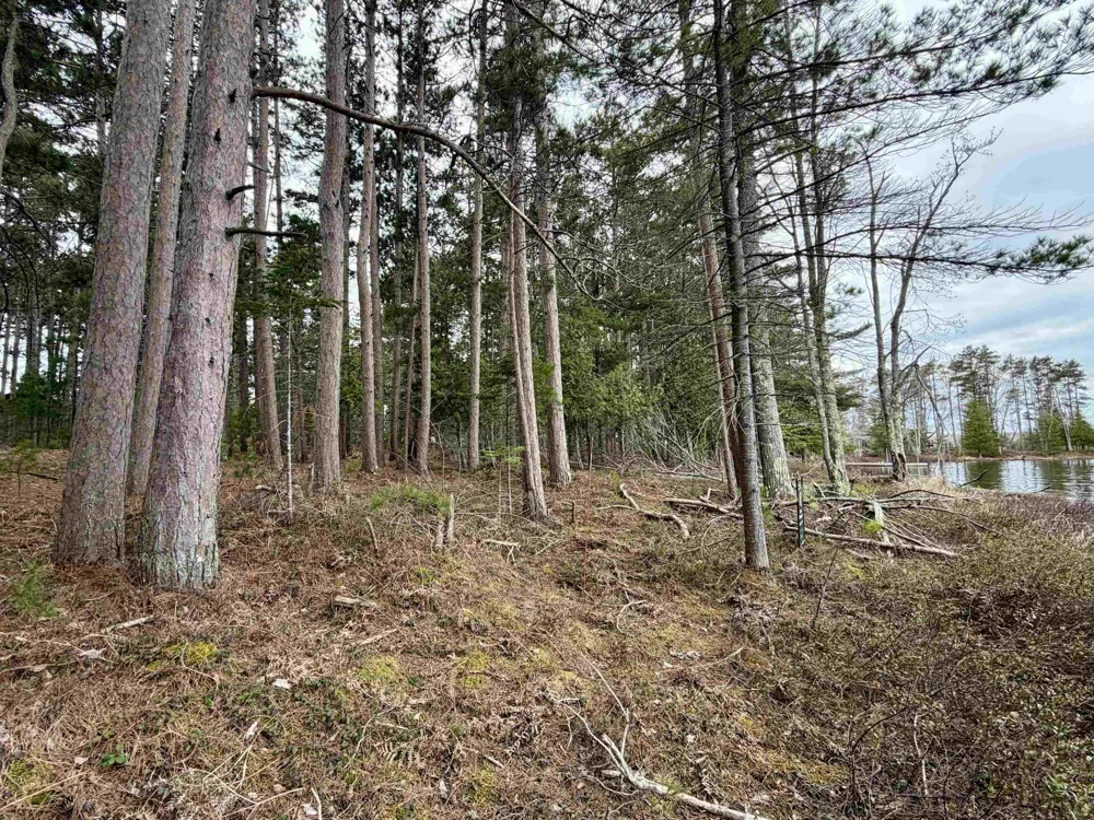 Whitetail Trail Peaine Township, MI 49782