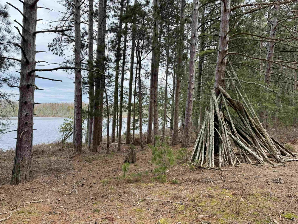 Whitetail Trail Peaine Township, MI 49782
