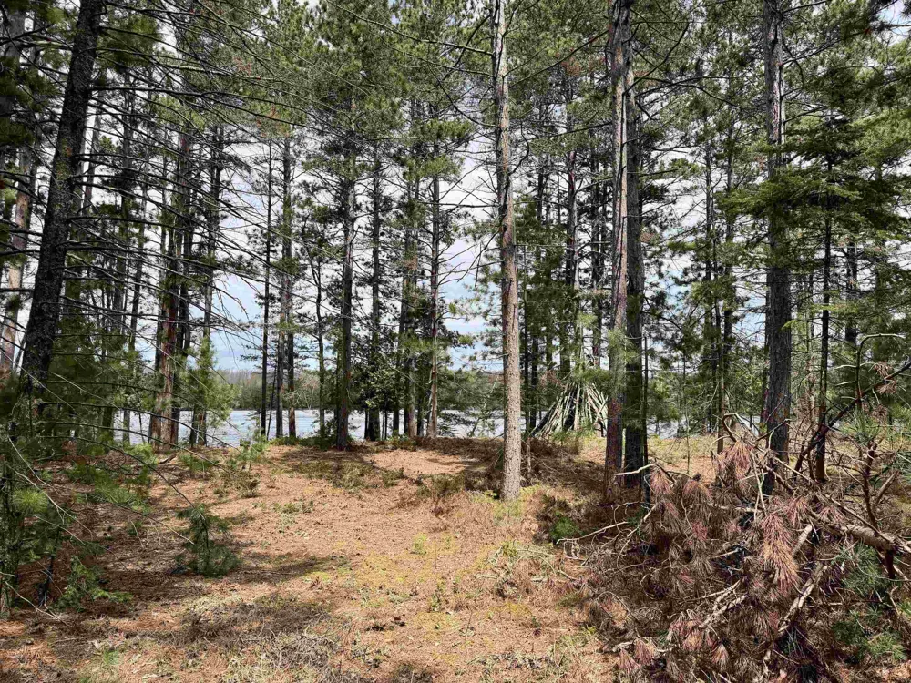 Whitetail Trail Peaine Township, MI 49782
