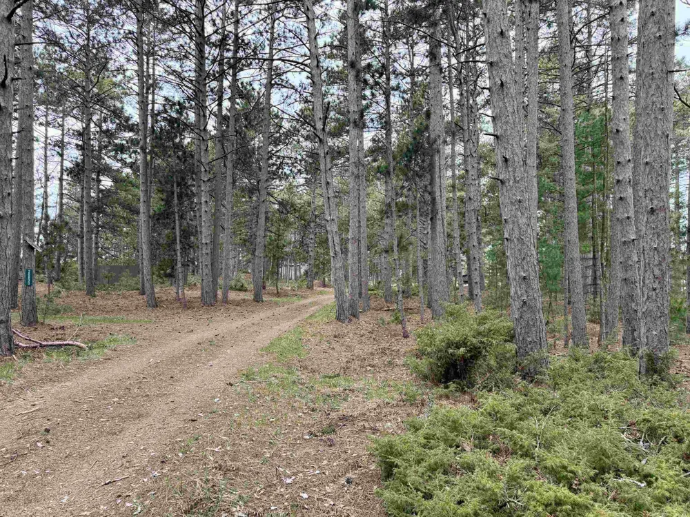 Whitetail Trail Peaine Township, MI 49782