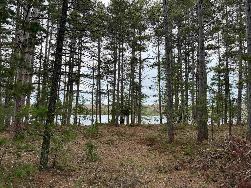 Whitetail Trail Peaine Township, MI 49782