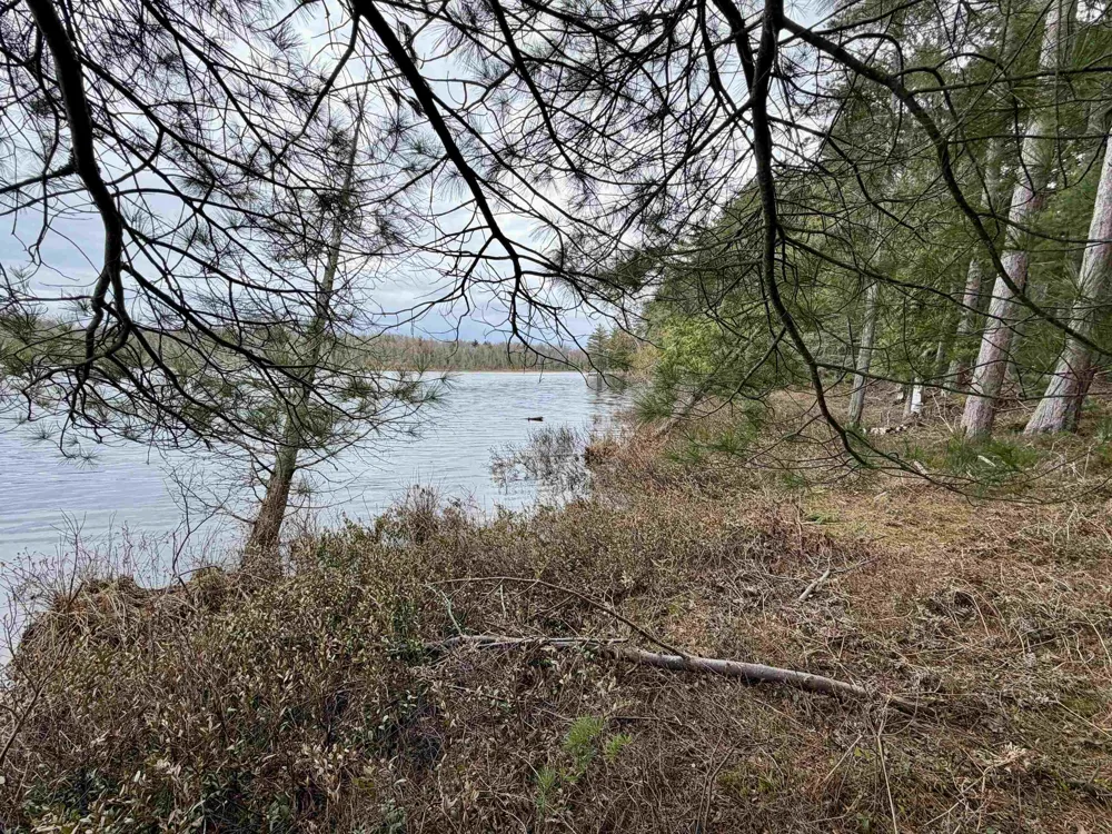 Whitetail Trail Peaine Township, MI 49782