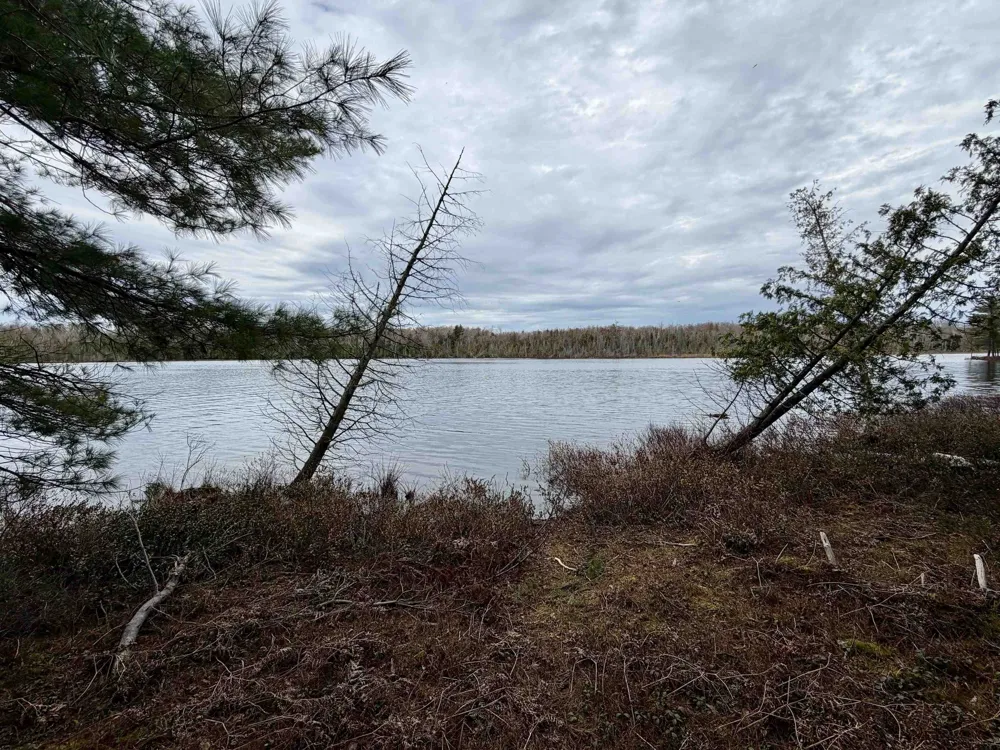 Whitetail Trail Peaine Township, MI 49782