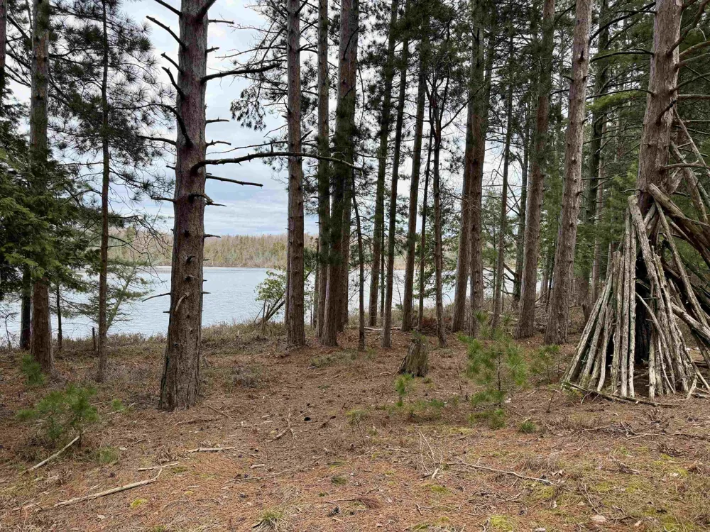 Whitetail Trail Peaine Township, MI 49782