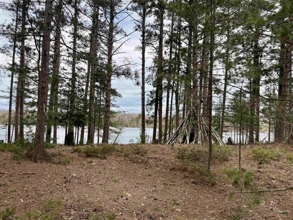 Whitetail Trail Peaine Township, MI 49782